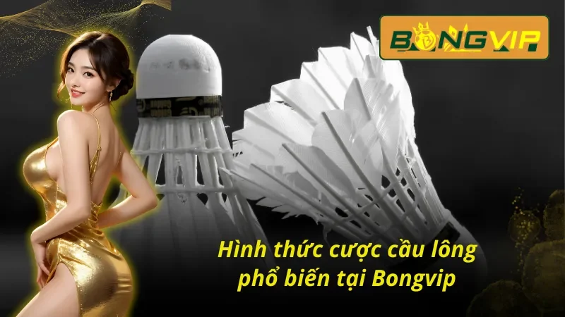 Loại Hình Cá Cược Cầu Lông Ấn Tượng Nhất Bongvip 2025 6 Hình thức cược cầu lông phổ biến