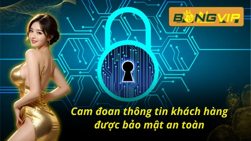 Chính Sách Bảo Mật Bongvip - An Toàn Tuyệt Đối, Minh Bạch 1 Chính sách bảo mật Bongvip cam đoan về thông tin của khách hàng