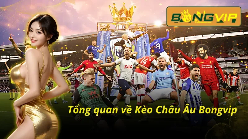 Kèo Châu Âu: Chinh Phục Đỉnh Cao Cá Cược Thể Thao Bongvip 2 Giới thiệu tổng quan về kèo Châu Âu online tại Bongvip