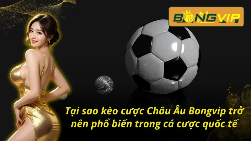 Kèo Châu Âu: Chinh Phục Đỉnh Cao Cá Cược Thể Thao Bongvip 3 Đánh giá kèo Châu Âu tại nhà cái uy tín Bongvip