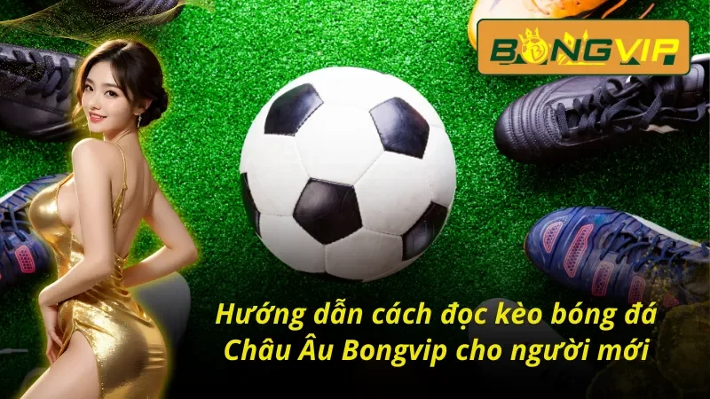 Kèo Châu Âu: Chinh Phục Đỉnh Cao Cá Cược Thể Thao Bongvip 4 Bật mí cách đọc kèo Châu Âu chuẩn từ cao thủ Bongvip