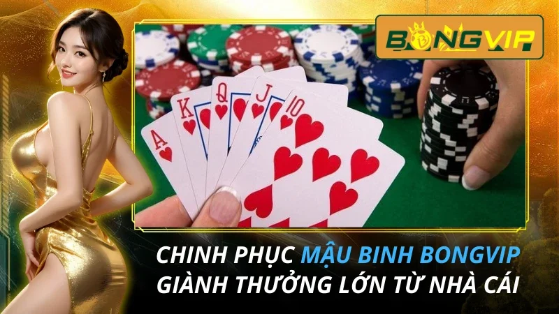 Chinh Phục Mậu Binh Giành Thưởng Lớn Từ Nhà Cái Bongvip 26 Mậu Binh