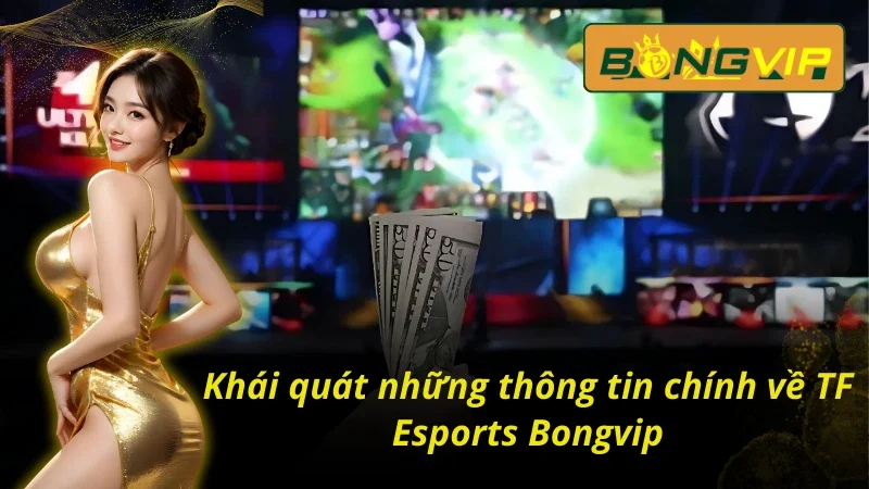 TF Esports - Sảnh Esports Đặc Sắc Nhất Bongvip 2026 2 Sơ lược về thể thao điện tử tại sảnh TF Esports