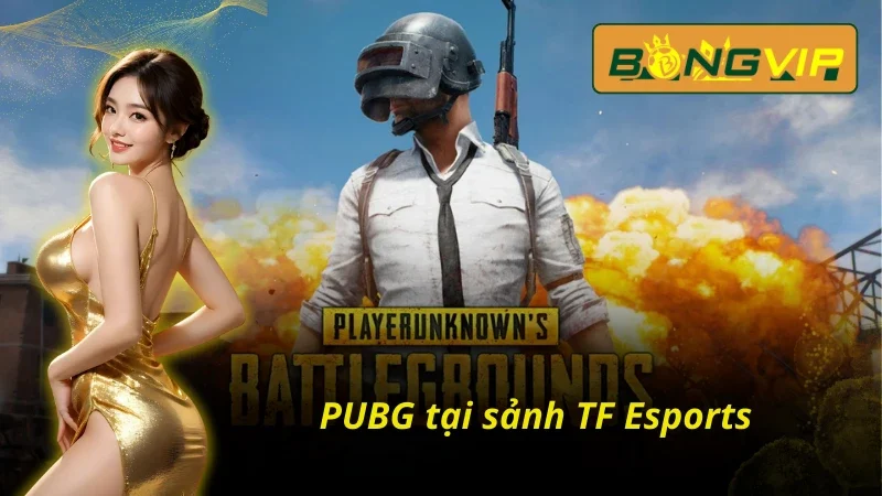 TF Esports - Sảnh Esports Đặc Sắc Nhất Bongvip 2026 6 Game sinh tồn PUBG tại TF Esports trên Bongvip