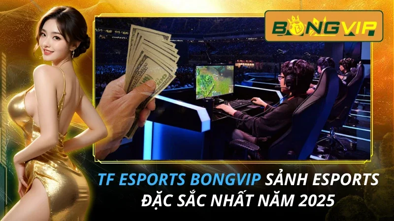 TF Esports - Sảnh Esports Đặc Sắc Nhất Bongvip 2026 1 TF Esports - Sảnh Esports Đặc Sắc Nhất Bongvip Năm 2026