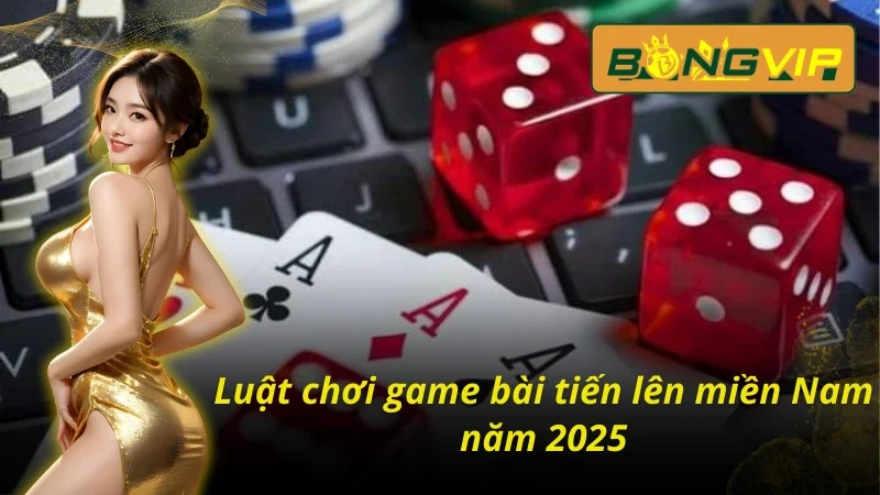 Tiến Lên Miền Nam - Trải Nghiệm Game 3D Siêu Thực Cùng Bongvip 4 Hướng dẫn chơi từ A đến Z tiến lên miền Nam tại Bongvip