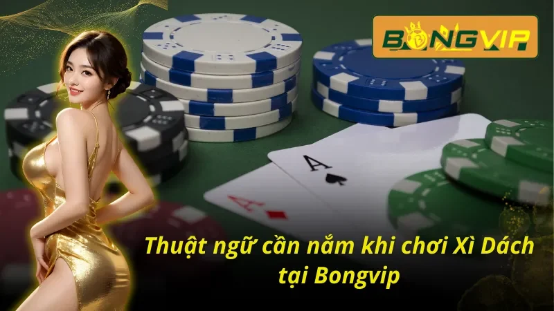 Xì dách và những thuật ngữ cực kỳ quan trọng